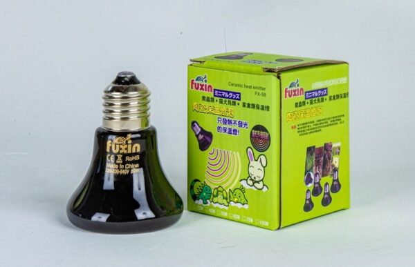 KIT Jabuti Piranga Microchipado + Terrário com Lâmpada de Aquecimento + lâmpada UVB + 1 Ração - Imagem 3