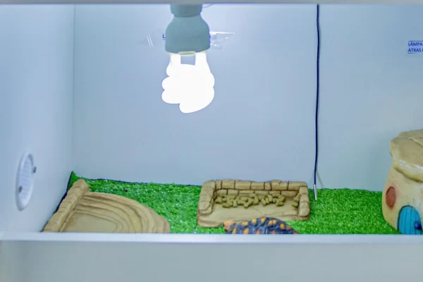 Lâmpada Uva/Uvb 5.0 13W 220V - Ideal para Tigre D'água e Jabuti - Image 2