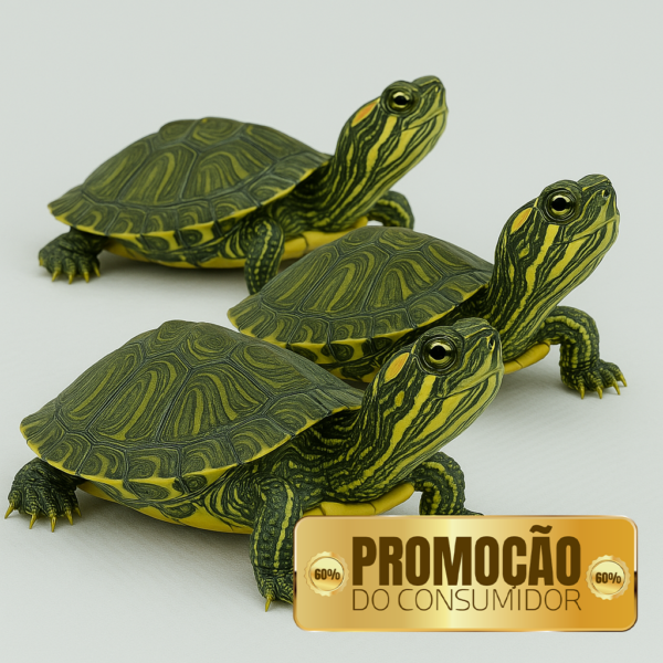 PROMOÇÃO DO CONSUMIDOR – Compre 1 tartaruga e leve mais 2 tartarugas com 60% de desconto