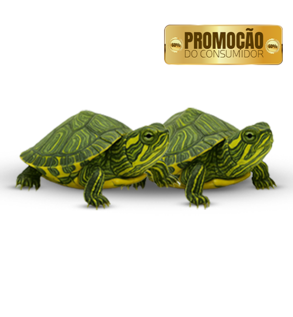 PROMOÇÃO DO CONSUMIDOR – Compre 1 tartaruga por 520,00 e leve mais 1 com 60% de desconto