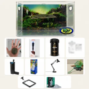 Kit Premium para tigre-d'água com aquaterrário, filtro, iluminação e acessórios