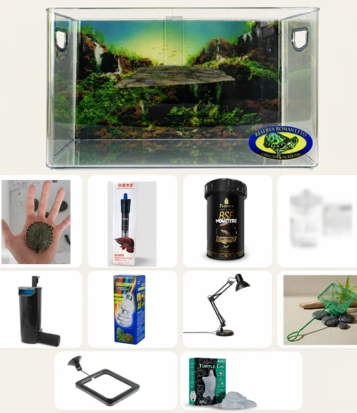 Kit Premium para tigre-d'água com aquaterrário, filtro, iluminação e acessórios