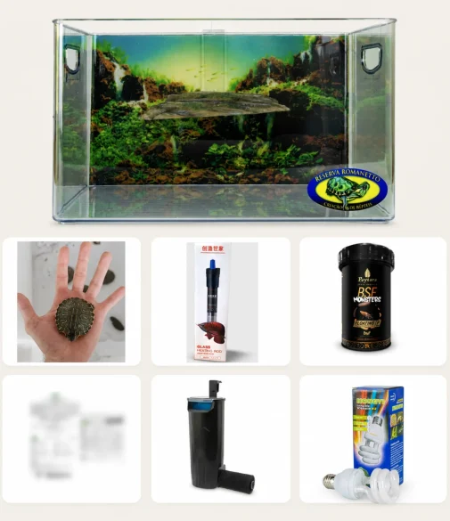 Kit Nemo para tigre-d'água com aquaterrário, filtro, aquecimento e lâmpada UVA/UVB