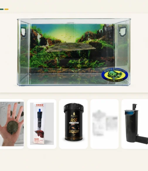 Kit Poseidon para tigre-d'água com aquaterrário, aquecimento e filtro