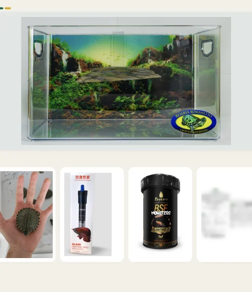 Kit Dory para tigre-d'água com aquaterrário, aquecedor e ração