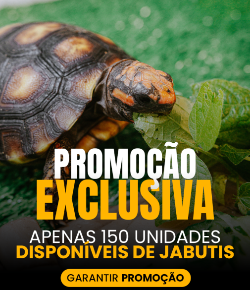 PROMOÇÃO