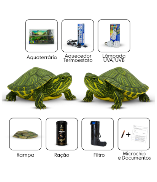kit 14